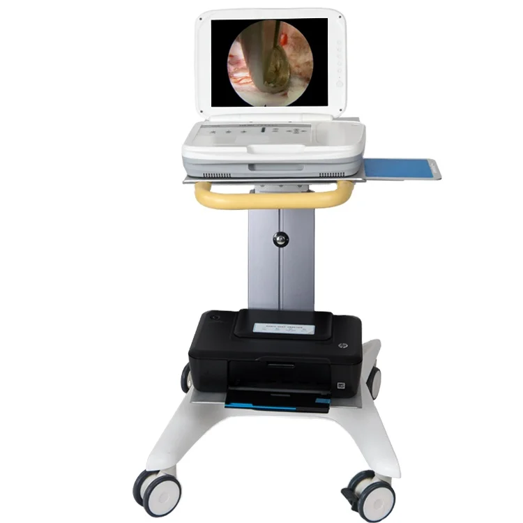 Medical Lab Images - YKD-9003 Full HD Integrated Portable Endoscope