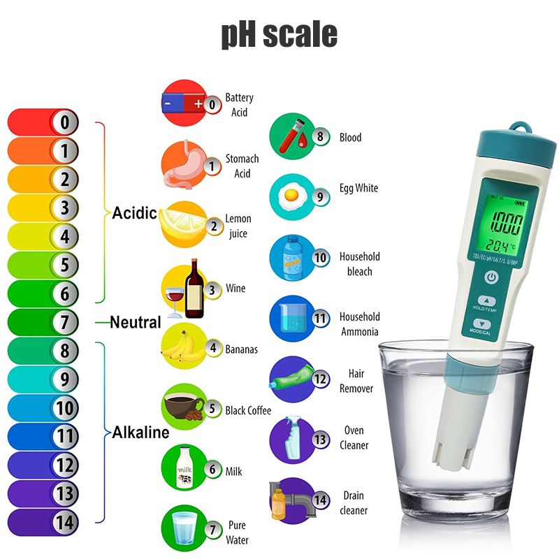 WESTTUNE Digital PH Meter 7 In - Ph Meter review and price